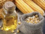 Best Quality 100% Refined Sunflower Oil/ Vegetable cooking oil/ Corn Oil 100% - photo 1