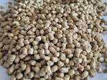 Growth-Focused Feed Blends – Engineered for Efficiency - фото 2