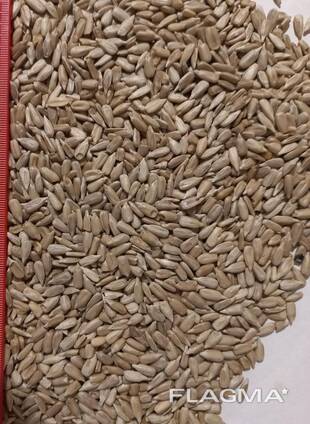 I will sell the kernel of sunflower