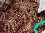 Premium Quality Copper Wire Scrap 99% Copper Content Custom Packaging OEM - photo 1
