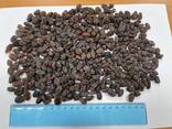 Raisins Sultana Aftabi (brown, confectionery) - фото 3