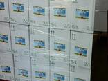 Refined Cooking sunflower oil, best grade - фото 3