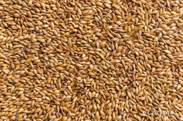 Selling wheat 3 class prot.11.5 7000t. on FOB Izmail