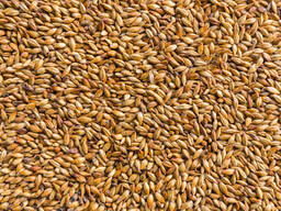 Selling wheat 3 class prot.11.5 7000t. on FOB Izmail