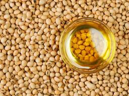 Soybean oil/ Soya yağı/Σογιέλαιο