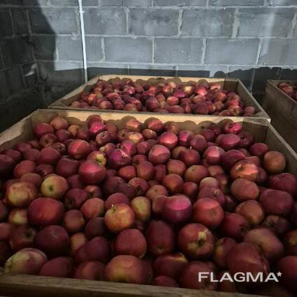 Świeże warzywa i owoce