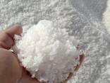 Technical salt - photo 1