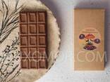 Vegan σοκολάτα Amanita 100 g - 15 μπάρες/Мухоморний ВЕГАН-шоколад. 100 г - 15 плиточок - фото 12