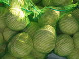 Θα πωλούν λάχανο χονδρεμπόρου Καζακστάν - photo 1