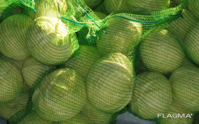 Θα πωλούν λάχανο χονδρεμπόρου Καζακστάν